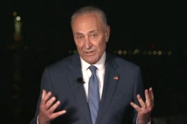 Chuck Schumer Slips Up, Says Trump ‘Incited the Erection’ (Video)