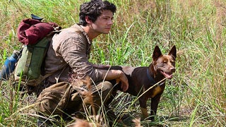 Paramount’s Dylan O’Brien Thriller ‘Monster Problems’ to Skip Theaters for PVOD Release With New Title