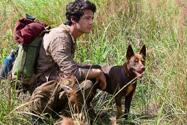 Paramount’s Dylan O’Brien Thriller ‘Monster Problems’ to Skip Theaters for PVOD Release With New Title
