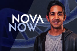 PBS Science Series NOVA Launches First Podcast, ‘NOVA Now’ (Exclusive)