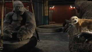 ‘The One and Only Ivan’ Film Review: Disney+ Movie Puts a ‘Tiger King’ Spin on ‘Dumbo’