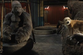 ‘The One and Only Ivan’ Film Review: Disney+ Movie Puts a ‘Tiger King’ Spin on ‘Dumbo’