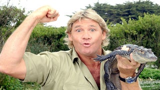 Steve Irwin’s Family Pays Heartwarming Tribute on 14th Anniversary of His Death
