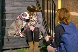 ‘Pit Bulls & Parolees’: Homeless Woman Has No Choice But to Give Up Dog in Heartbreaking Clip (Exclusive Video)