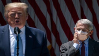 Trump Trashes Fauci as a ‘Disaster’ in Phone Call With Campaign Staff