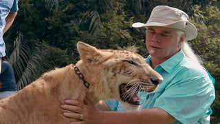 ‘Tiger King’ Star Doc Antle Charged With Wildlife Trafficking, Animal Cruelty