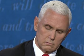 A Fly Landed on Mike Pence During the Debate and People Are Freaking Out (Video)