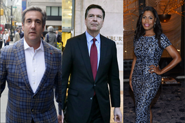 Disgruntled Ex-Trump Staffers Who Voted for Biden, From Michael Cohen to Omarosa (Photos)