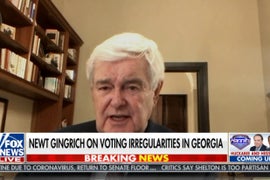 Newt Gingrich Claims Democrats Will ‘Manufacture’ Votes to Steal Georgia Runoffs (Video)