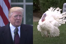 That Time Trump Scolded a Turkey Who ‘Refused to Concede’ After Losing Thanksgiving Pardon Vote (Video)