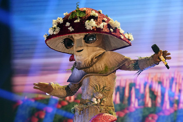 Masked Singer Mushroom