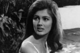 Pamela Tiffin In 'Harper'
