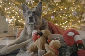 President-Elect Biden’s Dogs Wish Americans Merry Christmas (Video)