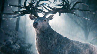 Netflix’s ‘Shadow and Bone’ Adaptation to Premiere in April – Watch the Cryptic First Teaser (Video)
