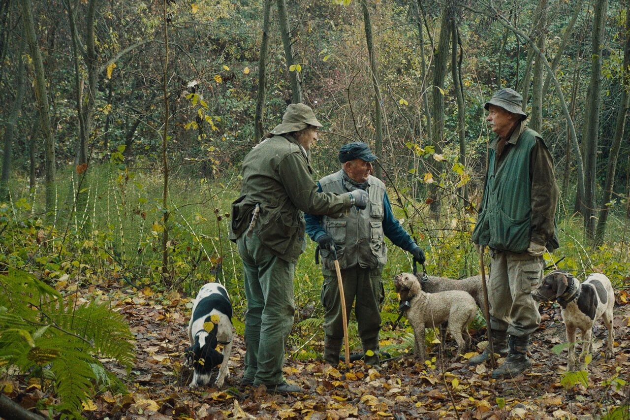 How 'The Truffle Hunters' Turned Dogs Into Cameramen for Documentary