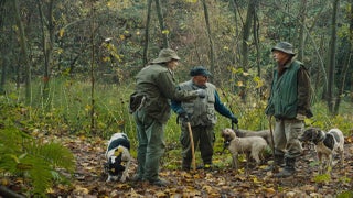 How ‘The Truffle Hunters’ Turned Dogs Into Cameramen for Documentary