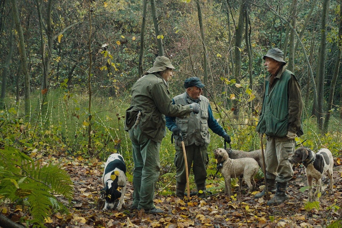 The Truffle Hunters