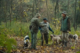 How ‘The Truffle Hunters’ Turned Dogs Into Cameramen for Documentary