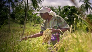 ‘The Letter’ Exposes Real Witch Hunts Against Elders in Kenya