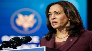 Kamala Harris Rejects ‘False’ Notion That Guns Safety Laws Mean Doing Away With Second Amendment (Video)