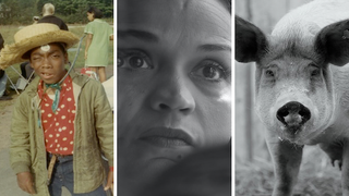 ‘Crip Camp,’ ‘Time,’ ‘Gunda’ Make Oscars Documentary Shortlist