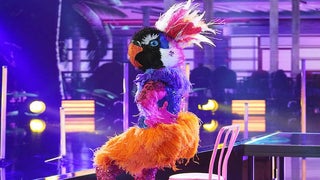 ‘Masked Dancer’: Exotic Bird Was Totally Paranoid Over Paula Abdul’s Spot-On Guess