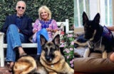 Joe Biden Jill Biden dogs Champ Major