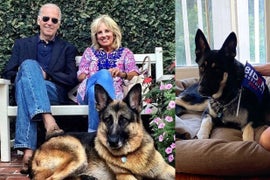 Biden’s Dogs Got Booted From the White House and Animal Lovers Are Paws-itively Furious