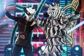‘The Masked Dancer’ Reveals Another Celebrity Contestant: And the Zebra Is …