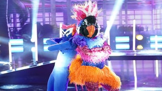 ‘The Masked Dancer’ Eliminates Another Celeb Contestant: And the Exotic Bird Is…