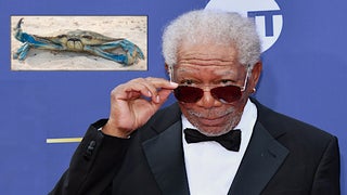 No, That’s Not Morgan Freeman Voicing the Crab in ‘Barb and Star Go to Vista Del Mar’