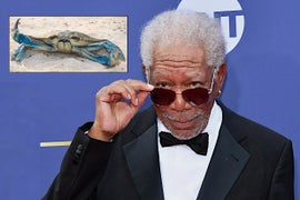 No, That’s Not Morgan Freeman Voicing the Crab in ‘Barb and Star Go to Vista Del Mar’