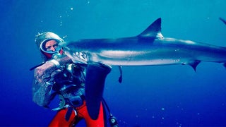 Nat Geo Documentary Films Acquires ‘Playing With Sharks’
