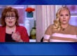 the view joy behar meghan mccain