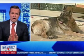 Newsmax Host Mocks Joe Biden’s ‘Junkyard’ Dog: ‘This Dog Needs a Bath’ (Video)