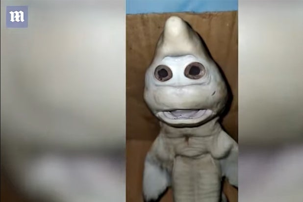 Baby Shark Is Real! Indonesian Fisherman Catches Mutant That's Pure