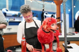 Good, Dog: ABC’s ‘Pooch Perfect’ Premiere Wins 8 PM in TV Ratings