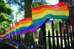 pride flag