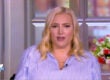 the view meghan mccain