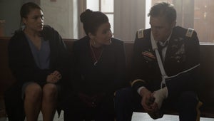 Falcon and the Winter Soldier Julia Louis Dreyfus