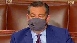 Ted Cruz Nap Time Biden Speech