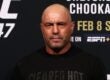 joe rogan