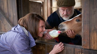 ‘Dream Horse’ Film Review: Toni Collette Inspirational Biopic Is Steady As She Goes