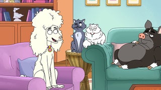 ‘Housebroken’ Renewed for Season 2 by Fox