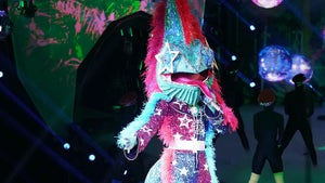 Masked Singer finale