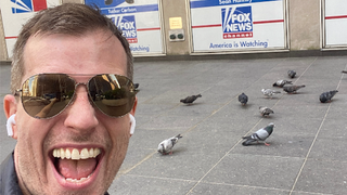 Meet the Comedian Who Turned Fox News Headquarters Into a ‘Safe Space’ for Pigeons