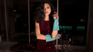 The Cleaning Lady
