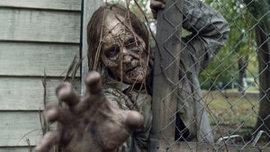 The Walking Dead