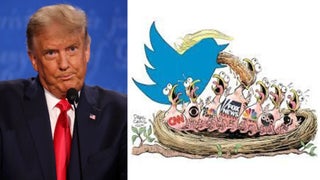 US Newspapers Regularly Rejected Political Cartoons on Trump, Top Distributor Says (Video)