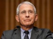anthony fauci
